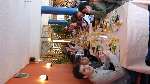 950 photo