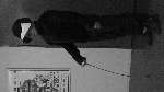 965 photo
